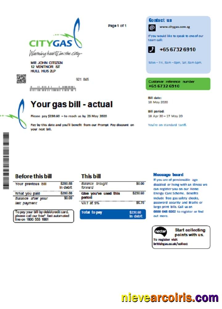 Singapore City Gas utility bill